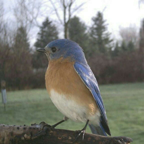 Meet your Posher, Joanne - Picture 8 of 8